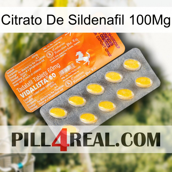 Sildenafil Citrate 100Mg new05.jpg